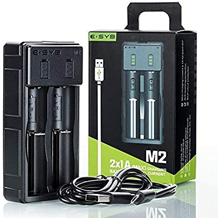 E-SYB M2 battery charger